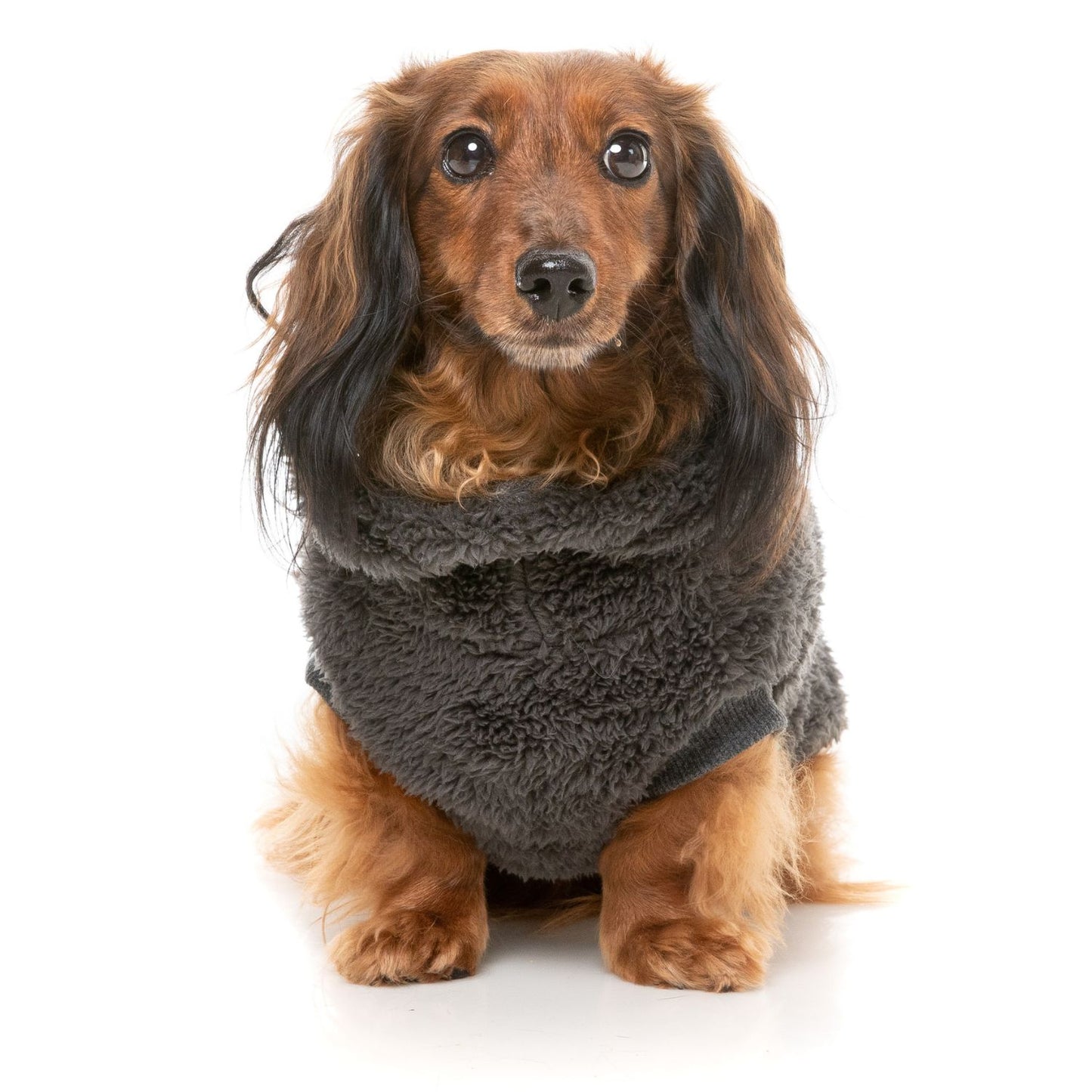 Turtle Teddy 24 Dog Sweater | Carbon Black