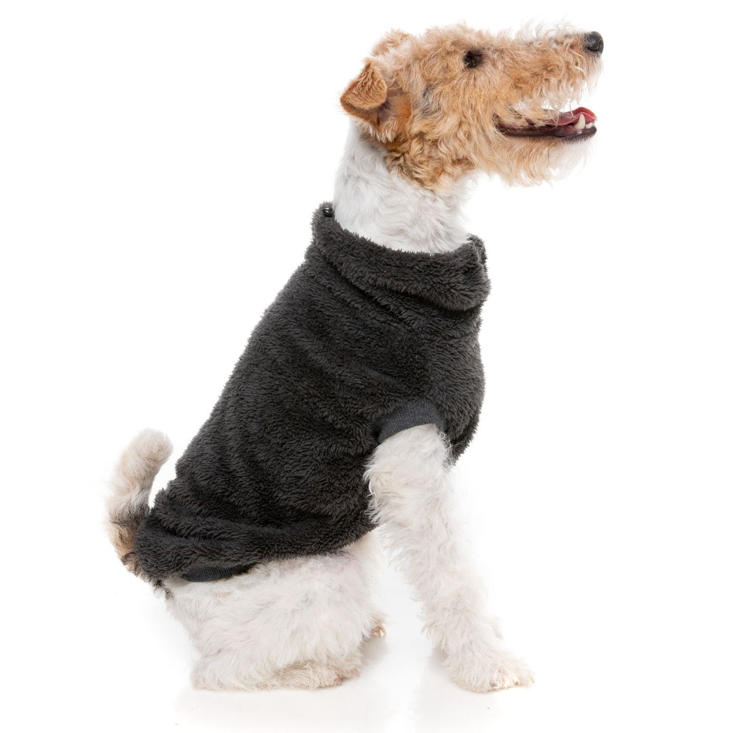 Turtle Teddy 24 Dog Sweater | Carbon Black