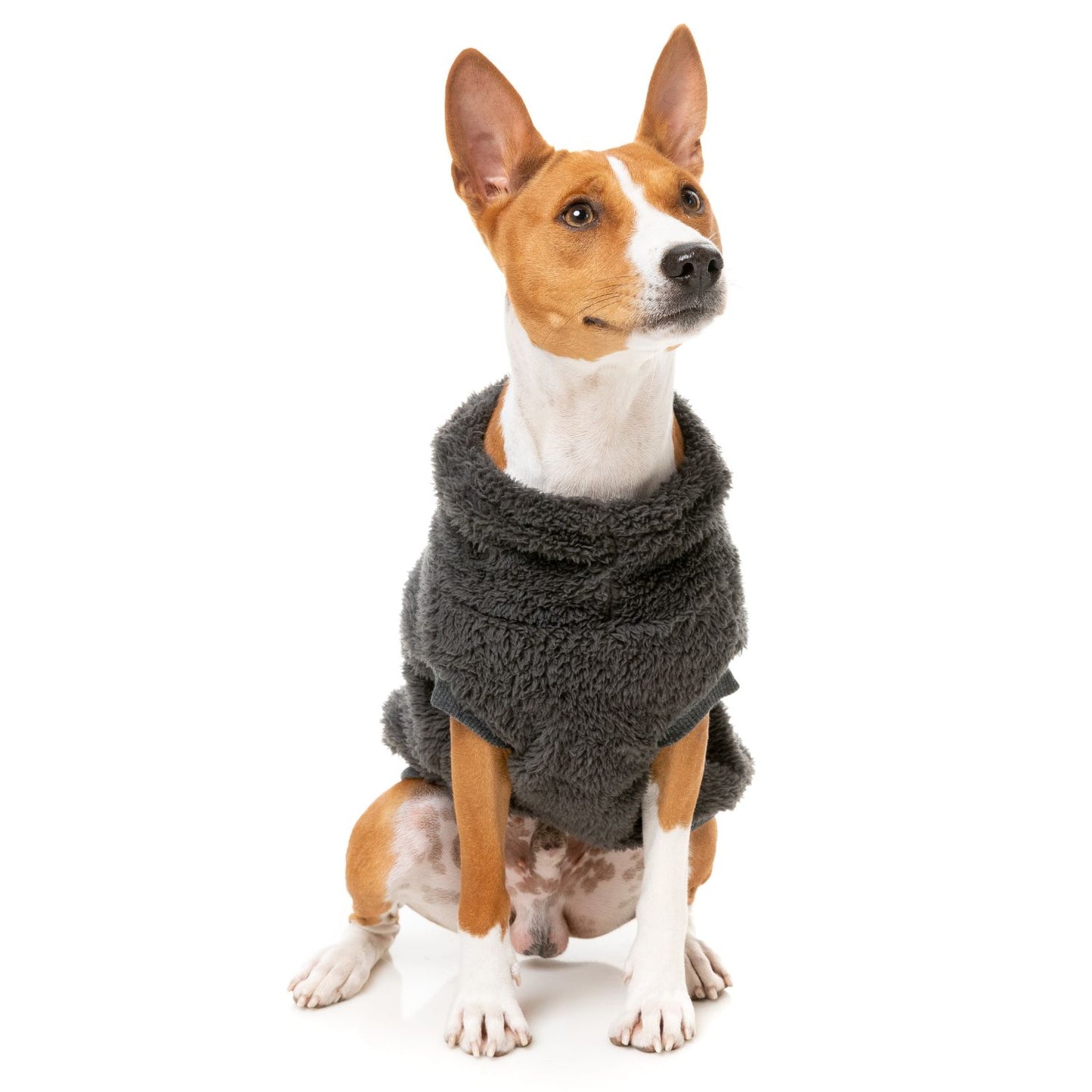 Turtle Teddy 24 Dog Sweater | Carbon Black