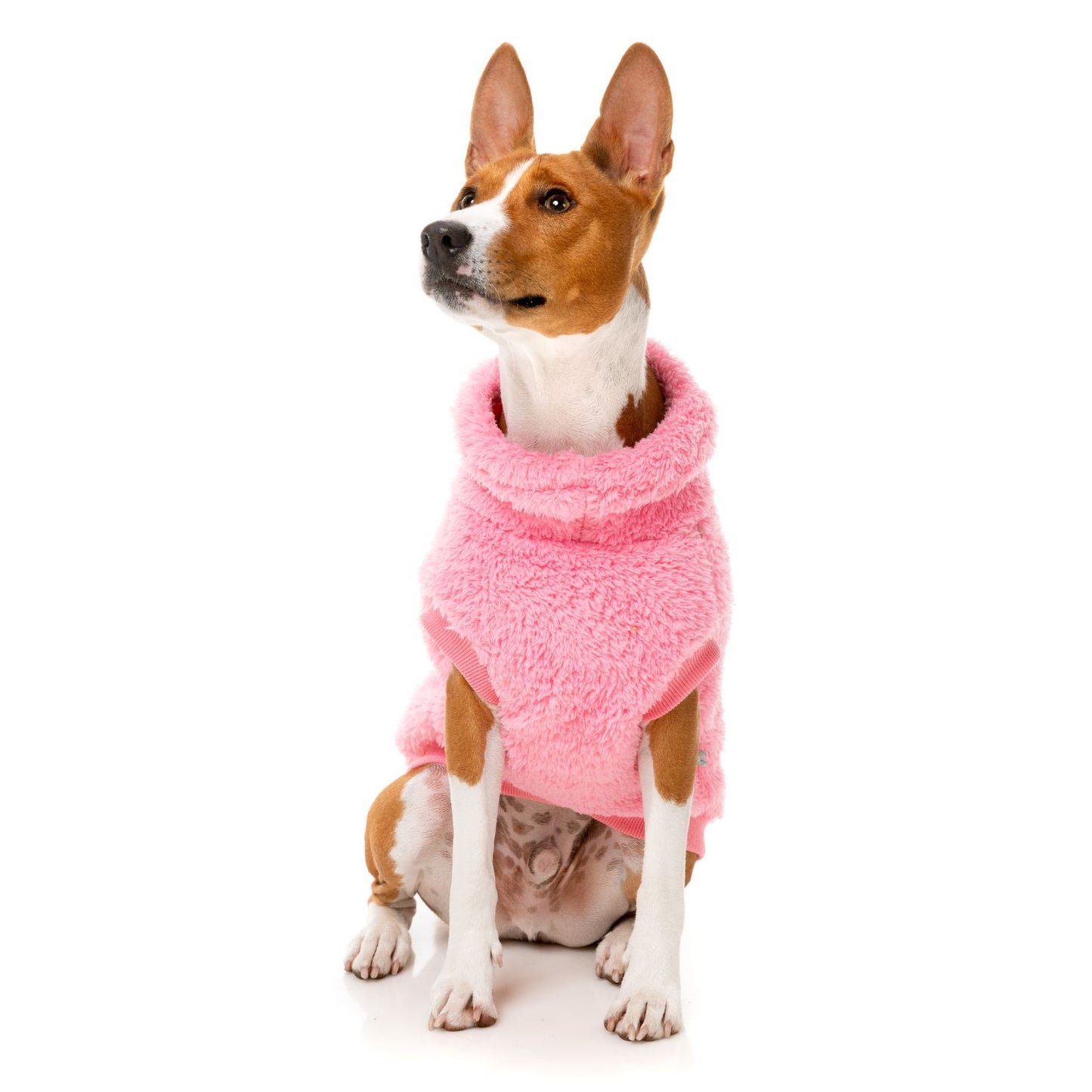 Turtle Teddy 24 Dog Sweater | Pink