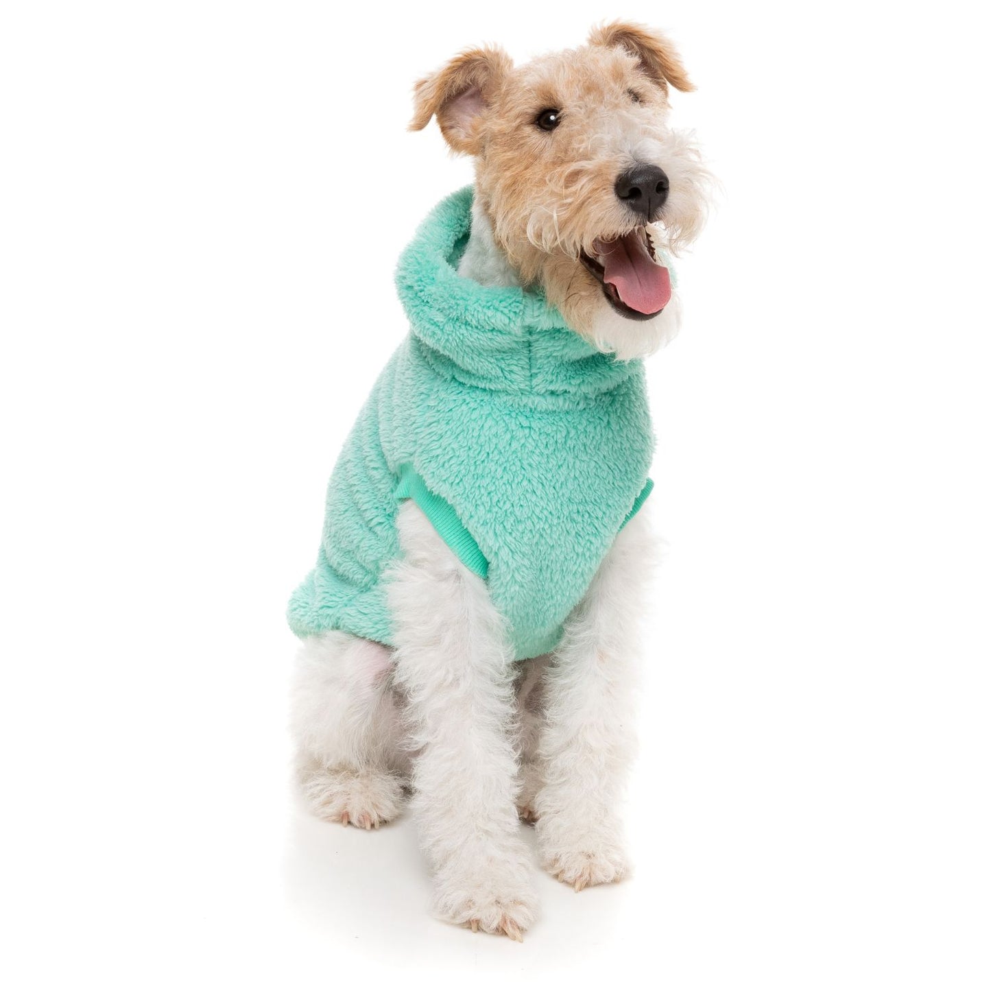 Turtle Teddy 24 Dog Sweater | Teal