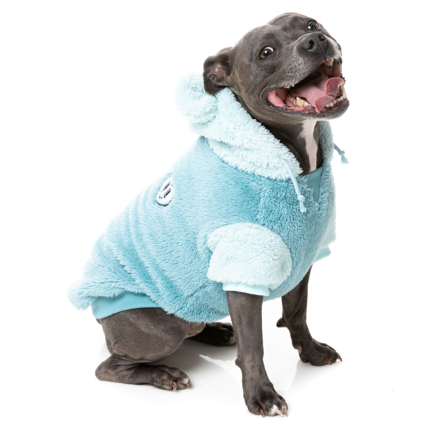 Winnie Dog Hoodie | Blue