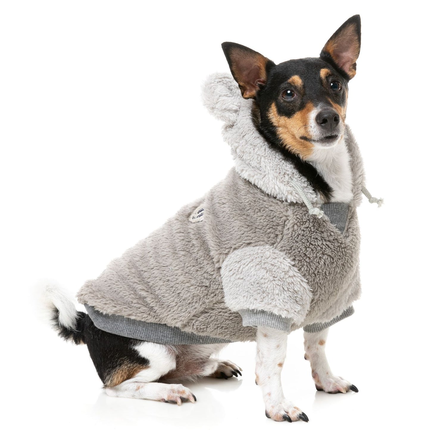 Winnie Dog Hoodie | Grey