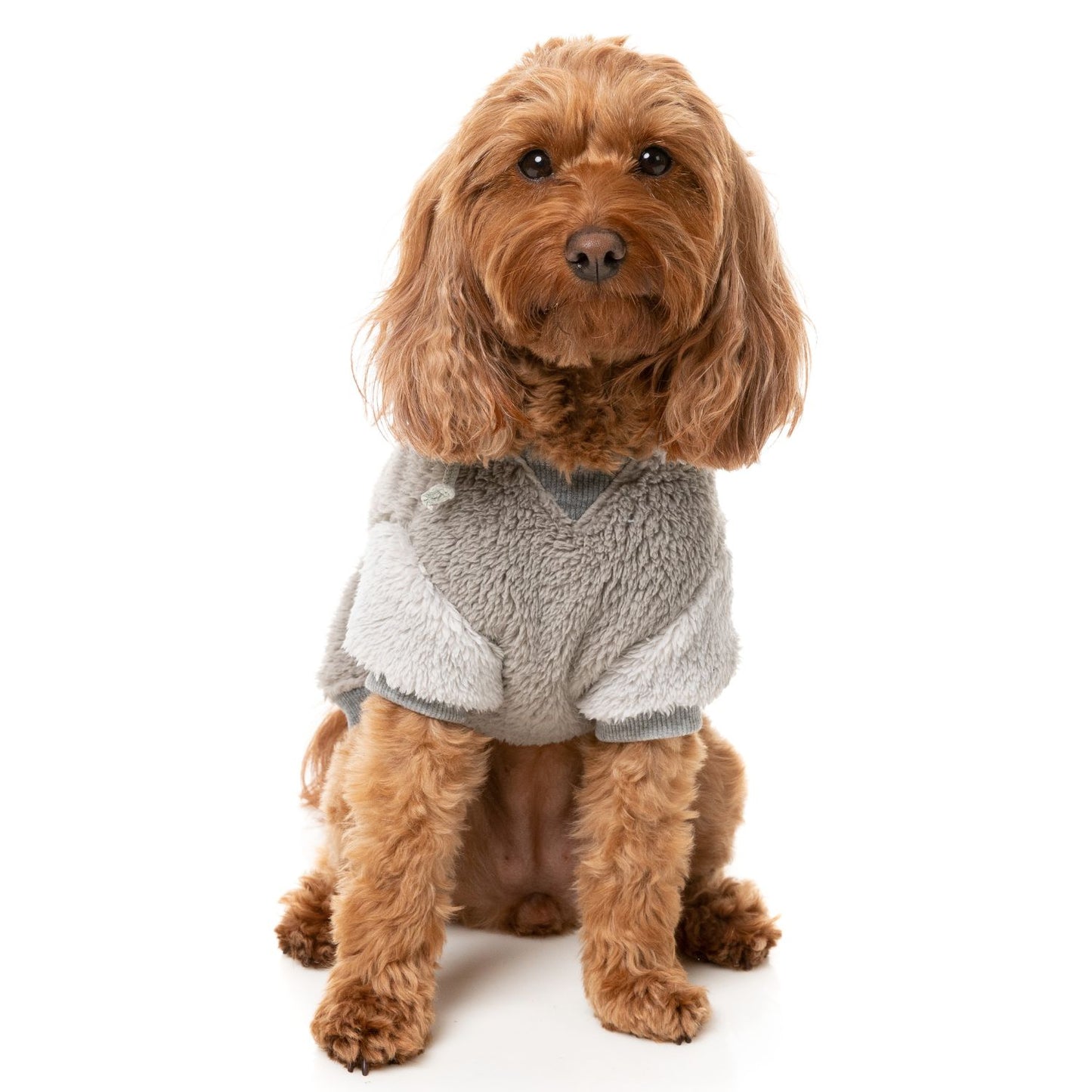 Winnie Dog Hoodie | Grey