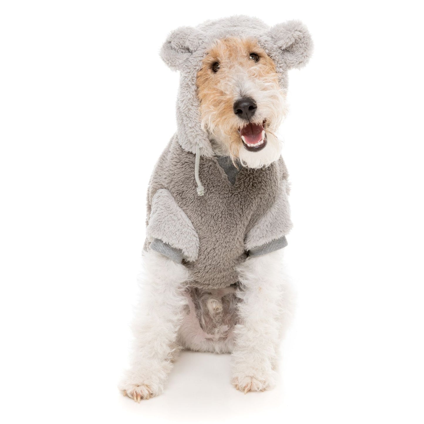 Winnie Dog Hoodie | Grey