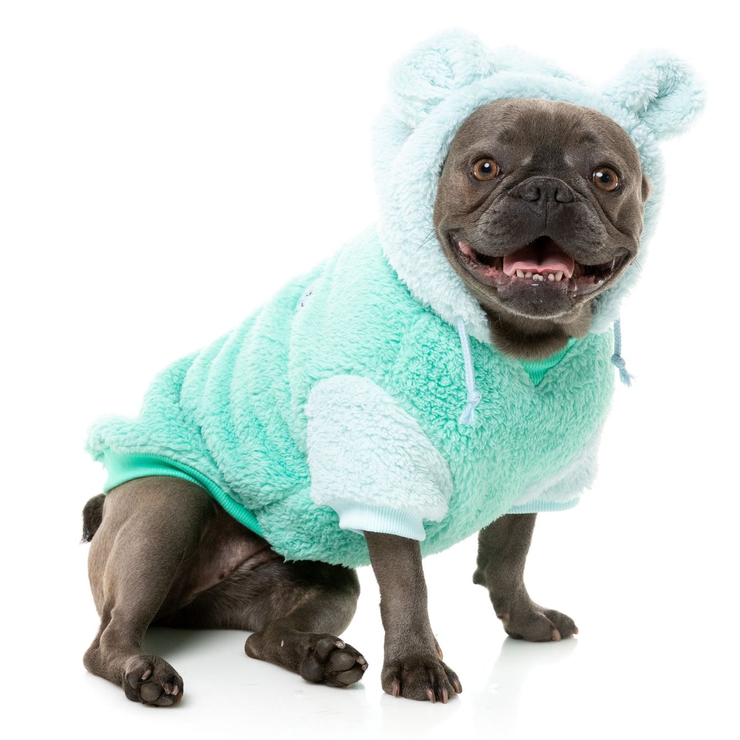 Winnie Dog Hoodie | Teal