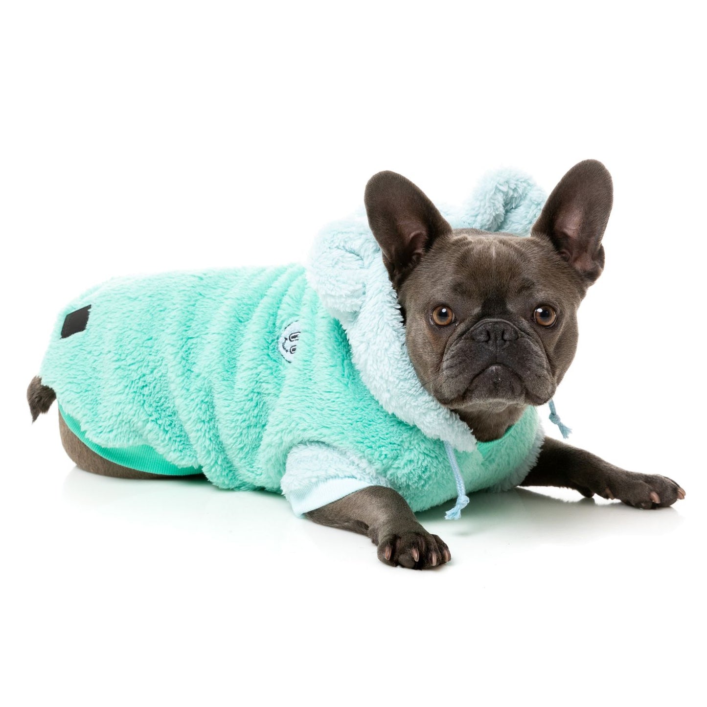 Winnie Dog Hoodie | Teal