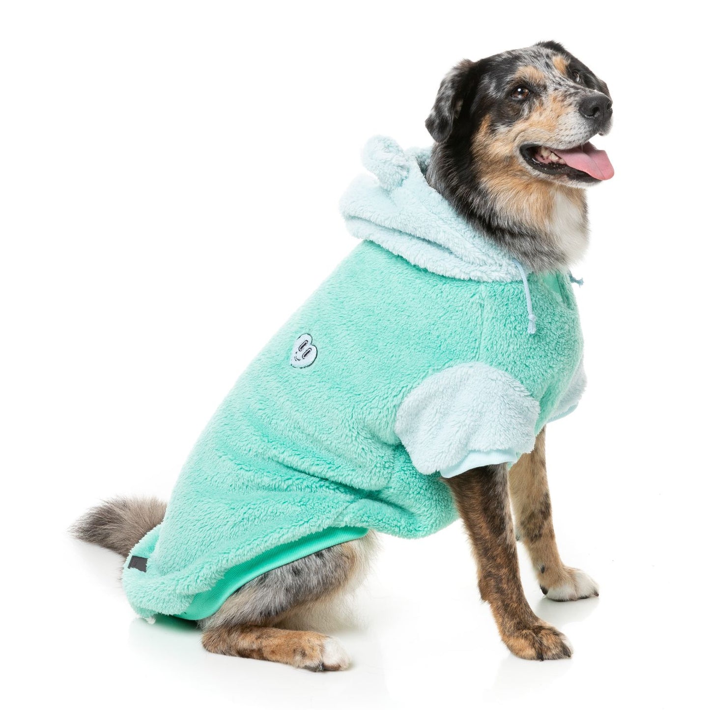 Winnie Dog Hoodie | Teal