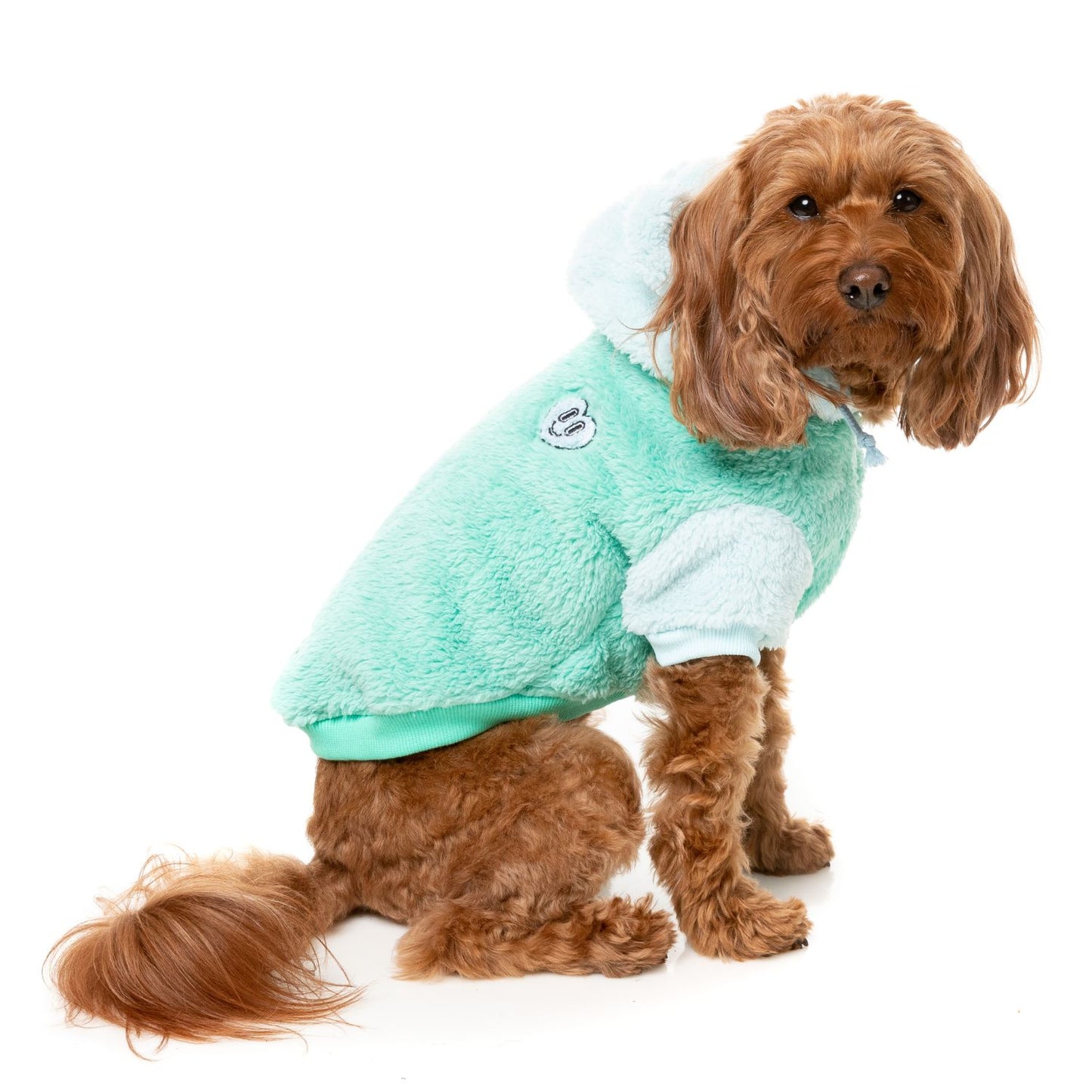 Winnie Dog Hoodie | Teal