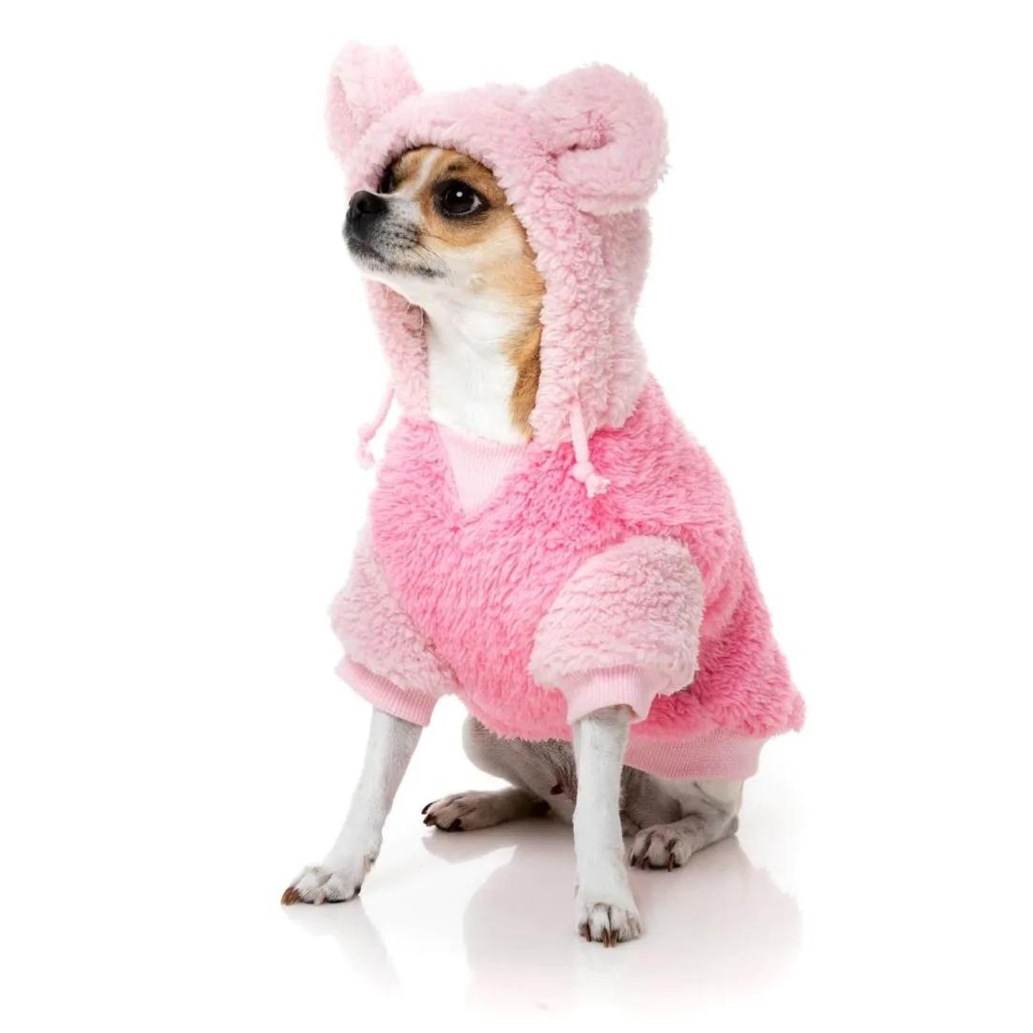 Winnie Dog Hoodie | Pink