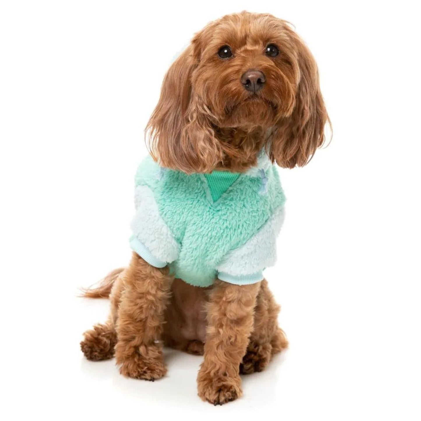 Winnie Dog Hoodie | Teal