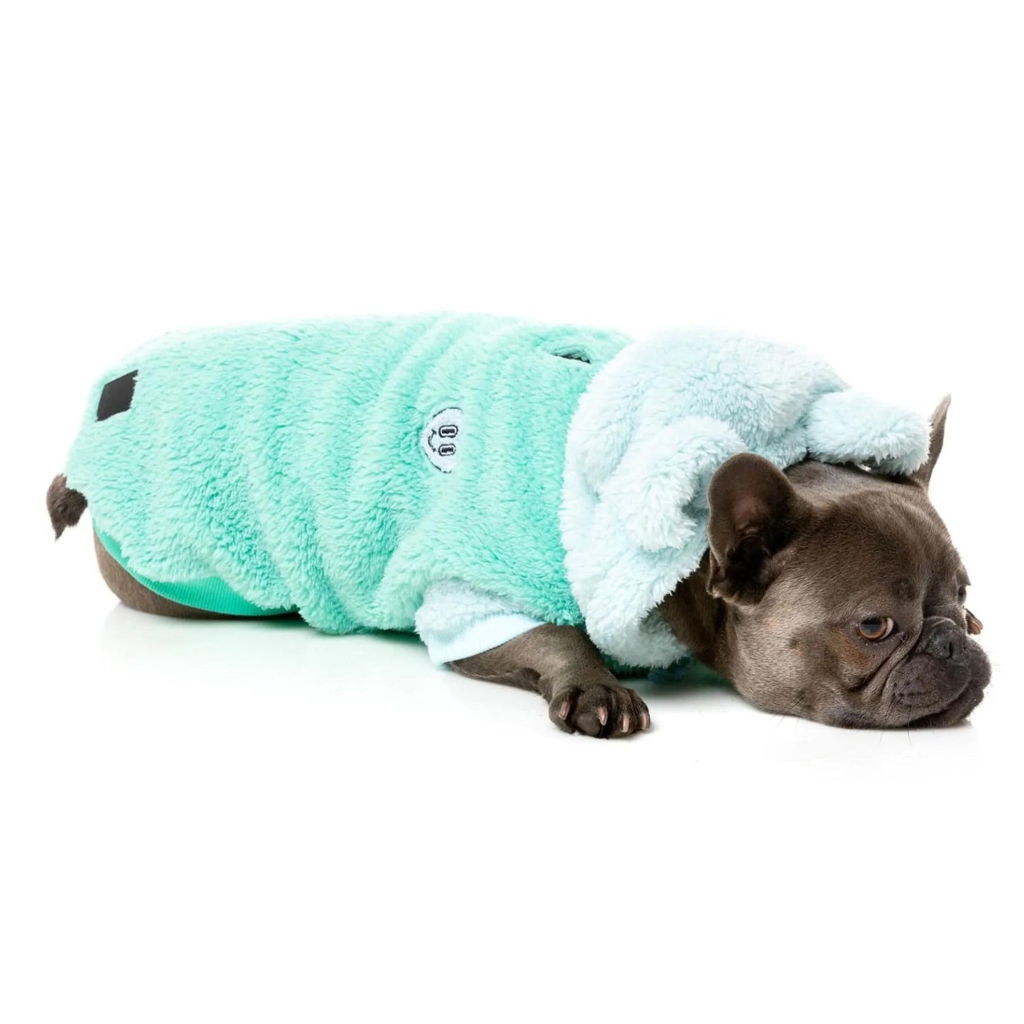 Winnie Dog Hoodie | Teal