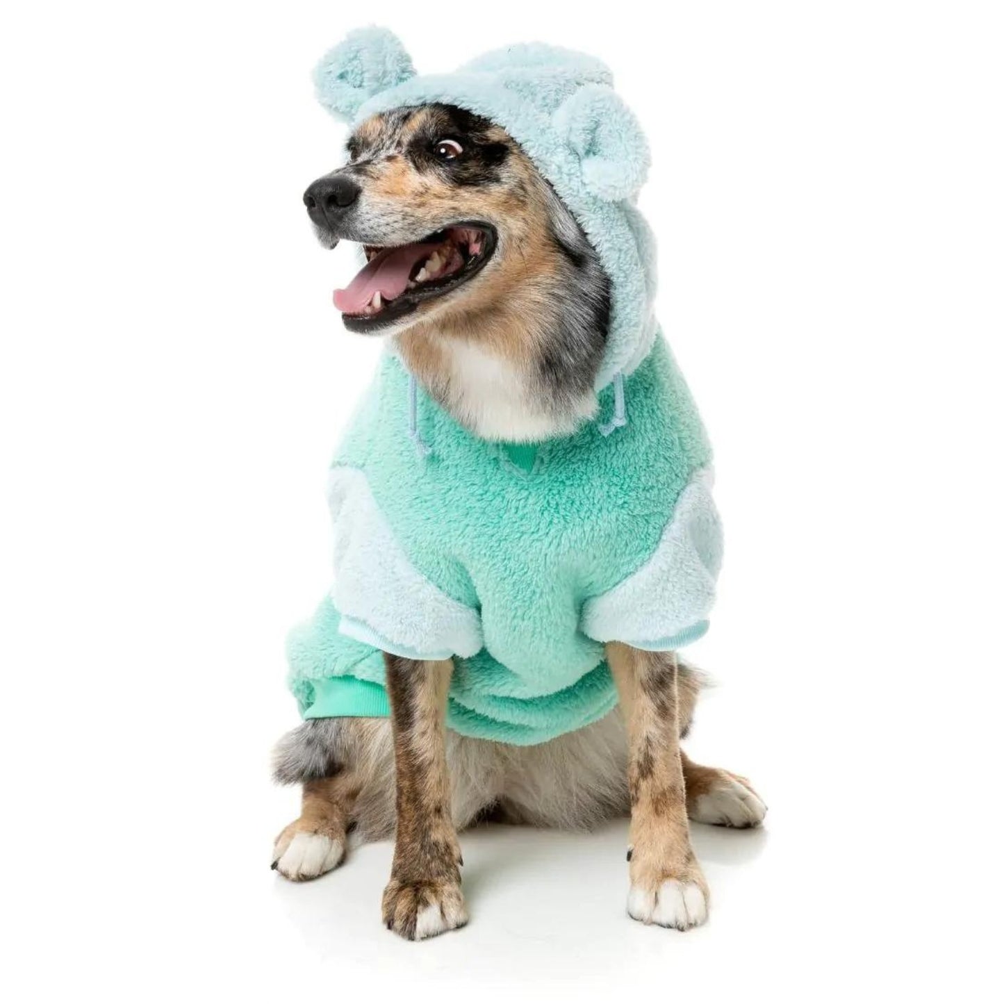 Winnie Dog Hoodie | Teal