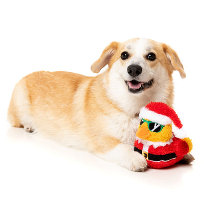 Christmas Quacker Dog Toy