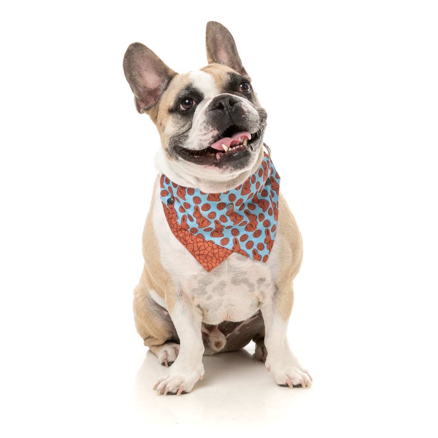 Easter Dog Bandana | Choc Bunny