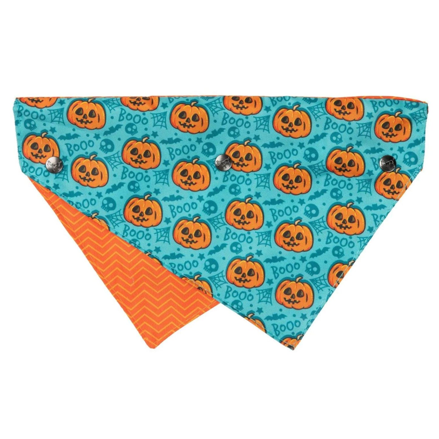 Halloween Dog Bandana | Jack Jack Jackie Lantern | Teal