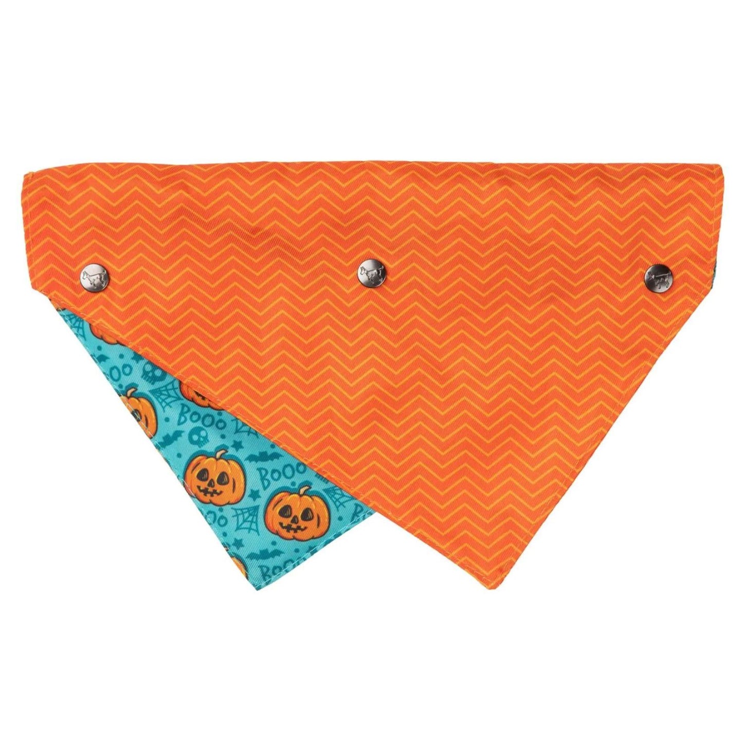 Halloween Dog Bandana | Jack Jack Jackie Lantern | Teal