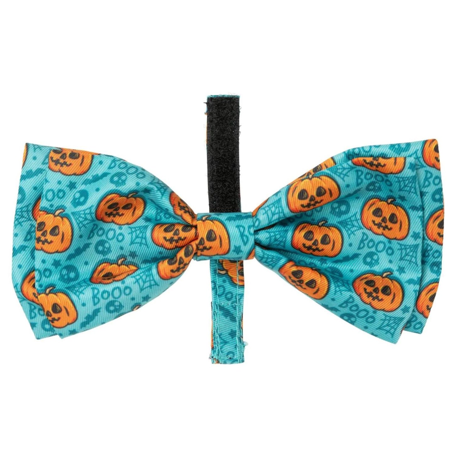 Halloween Dog Bow Tie | Jack Jack Jackie Lantern | Teal