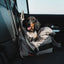 Multipurpose Dog Carrier & Car Seat | Sandstone