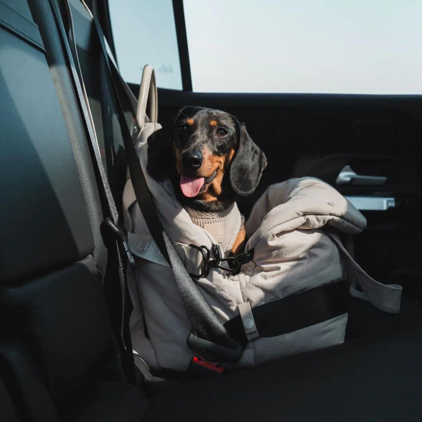 Multipurpose Dog Carrier & Car Seat | Sandstone