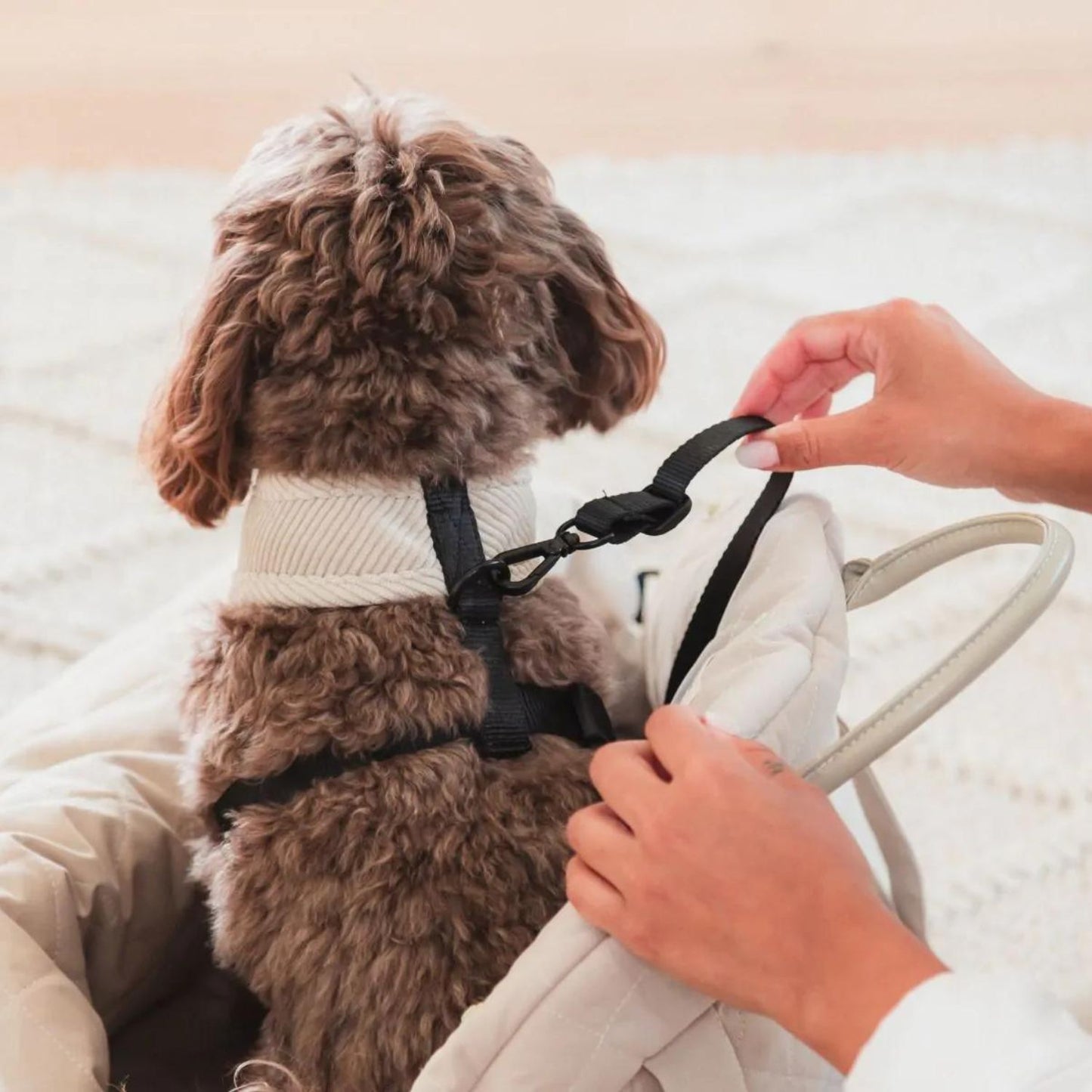 Multipurpose Dog Carrier & Car Seat | Slate Grey