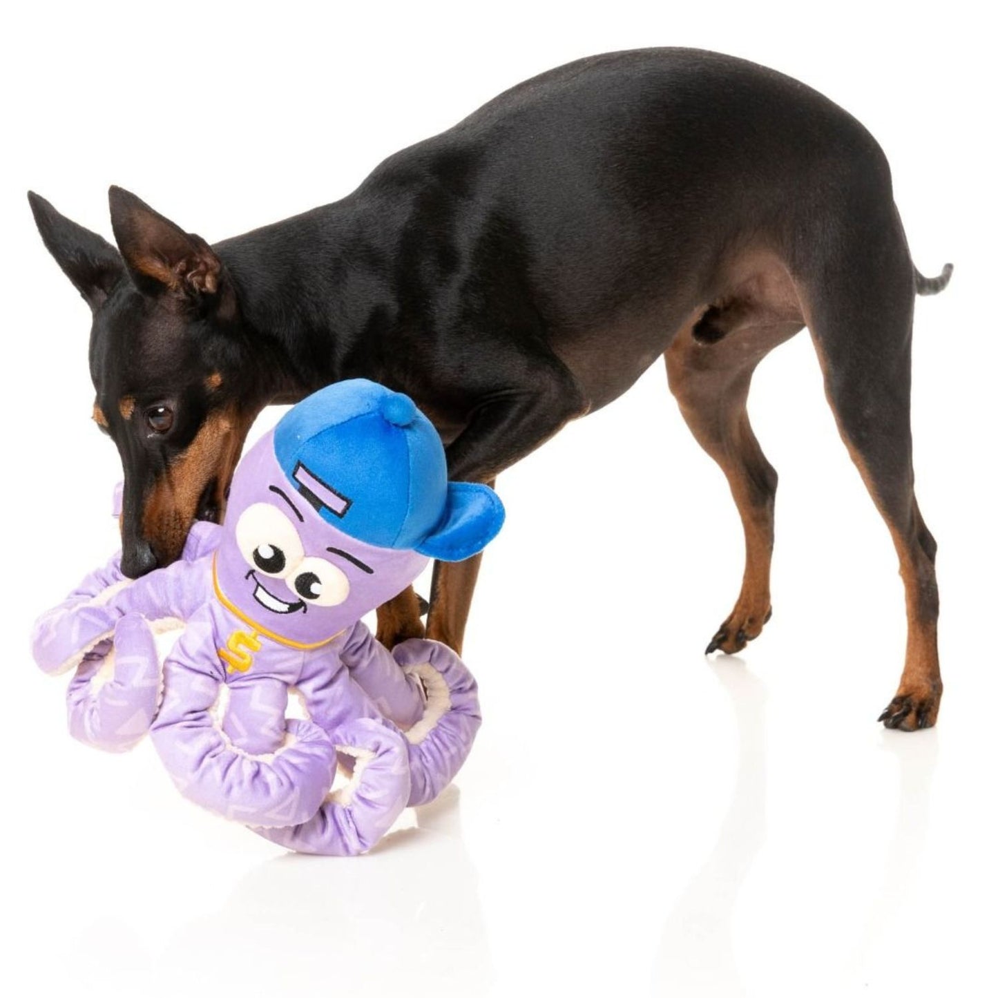 Hip-Hoptopus Dog Toy