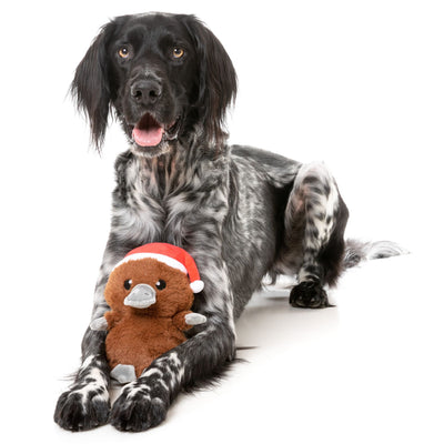 A-Wreatha The Platypus Christmas Dog Toy