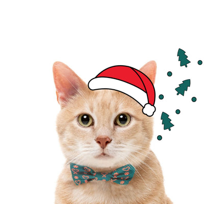Christmas Cat Fashion Pack | I Heart Candy Canes