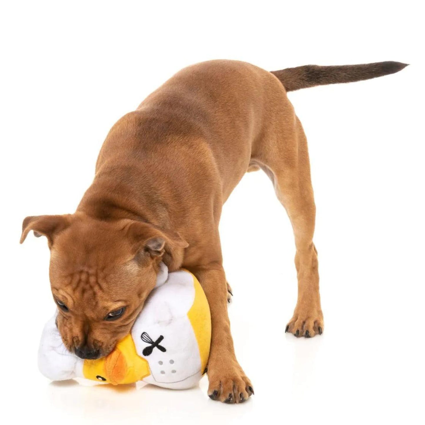 Gordon Quacksay Dog Toy