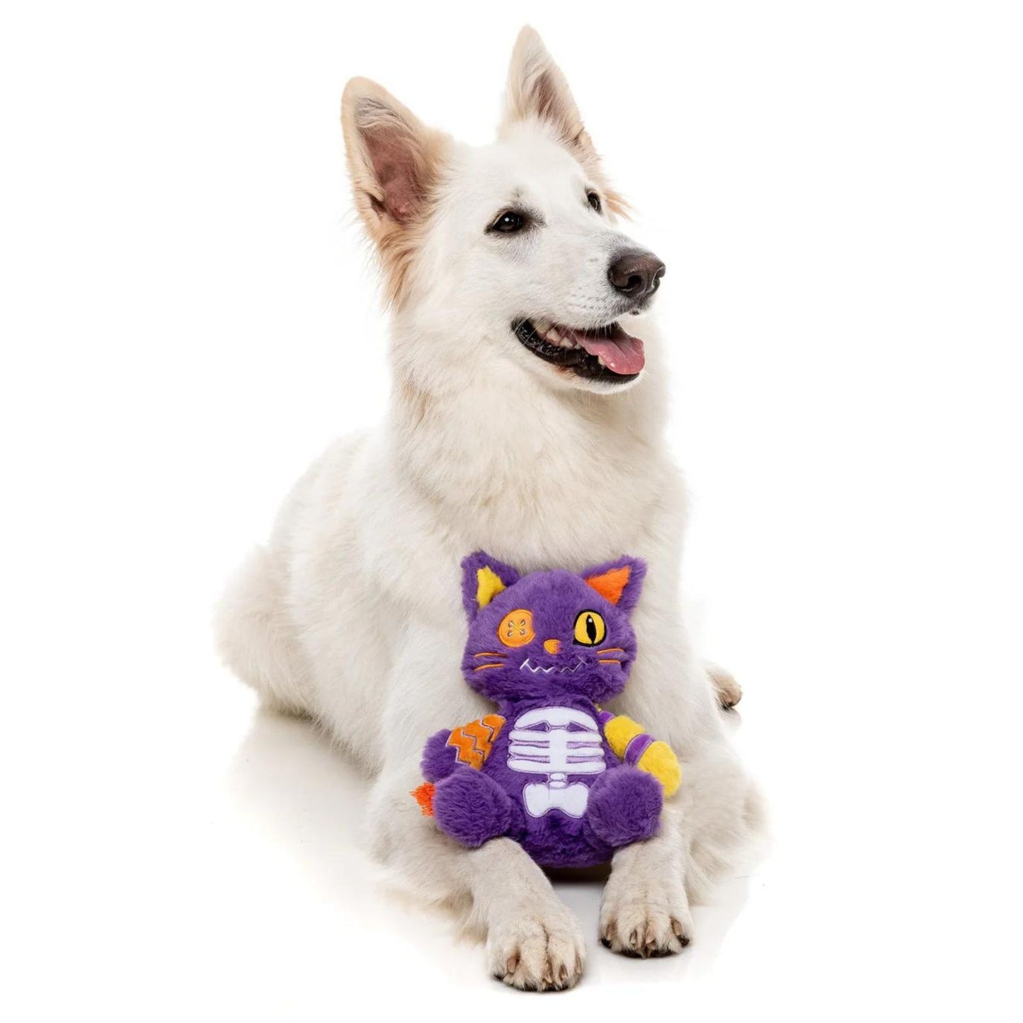 Halloween Plush Dog Toy | Hairball The Cat