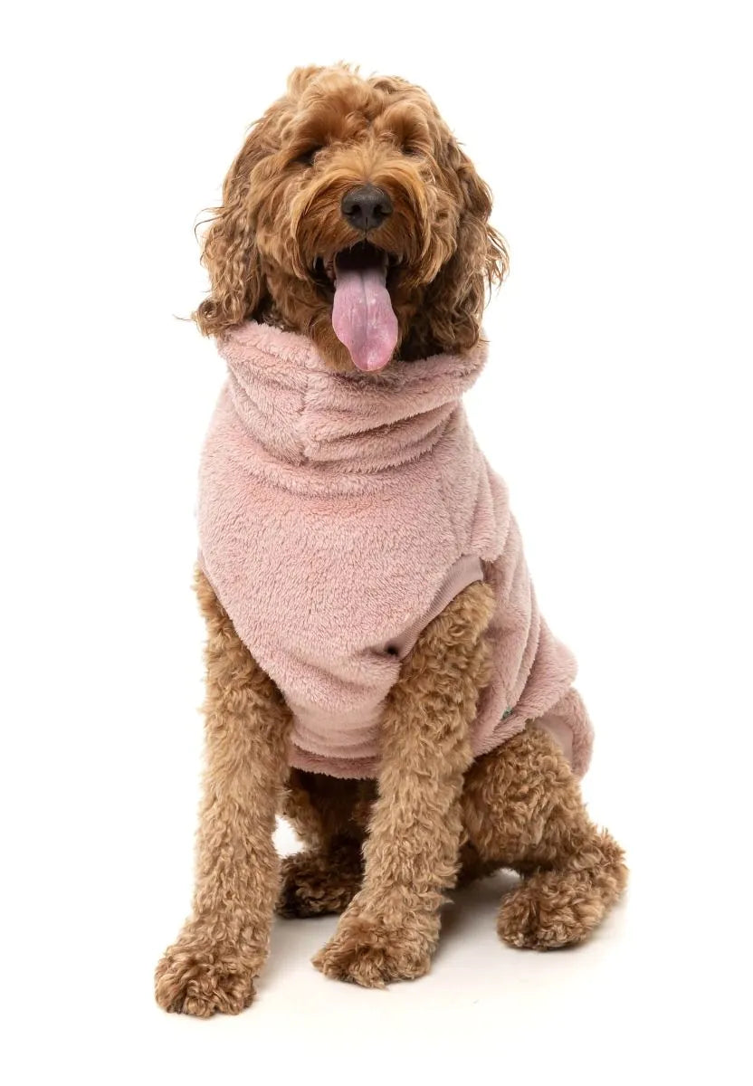 Turtle Teddy 24 Dog Sweater