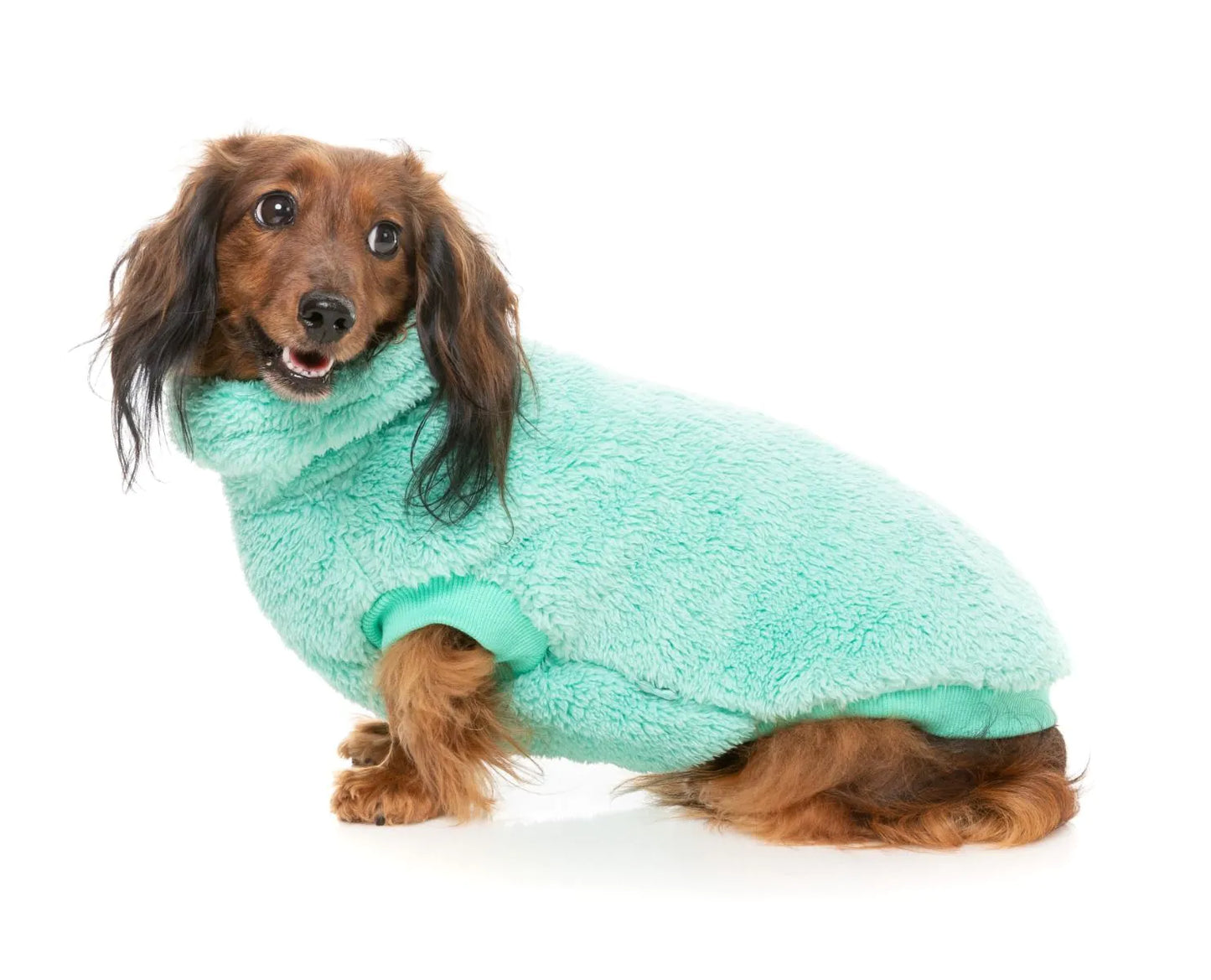 Turtle Teddy 24 Dog Sweater