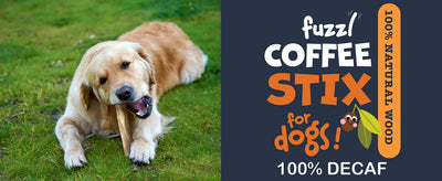 Fuzzl Coffee Stix | 100% Natural Wood