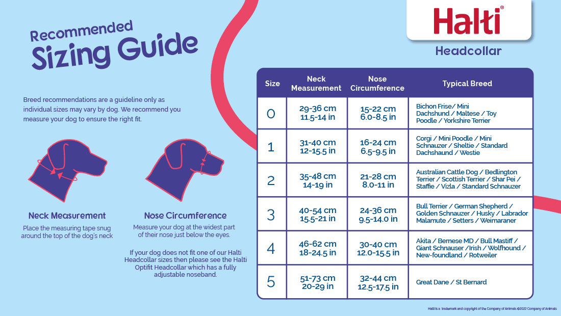 HALTI HeadCollar Train| Black