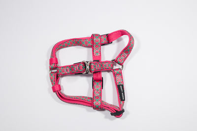 Hot Pink Watermelons | Step-In Dog Harness