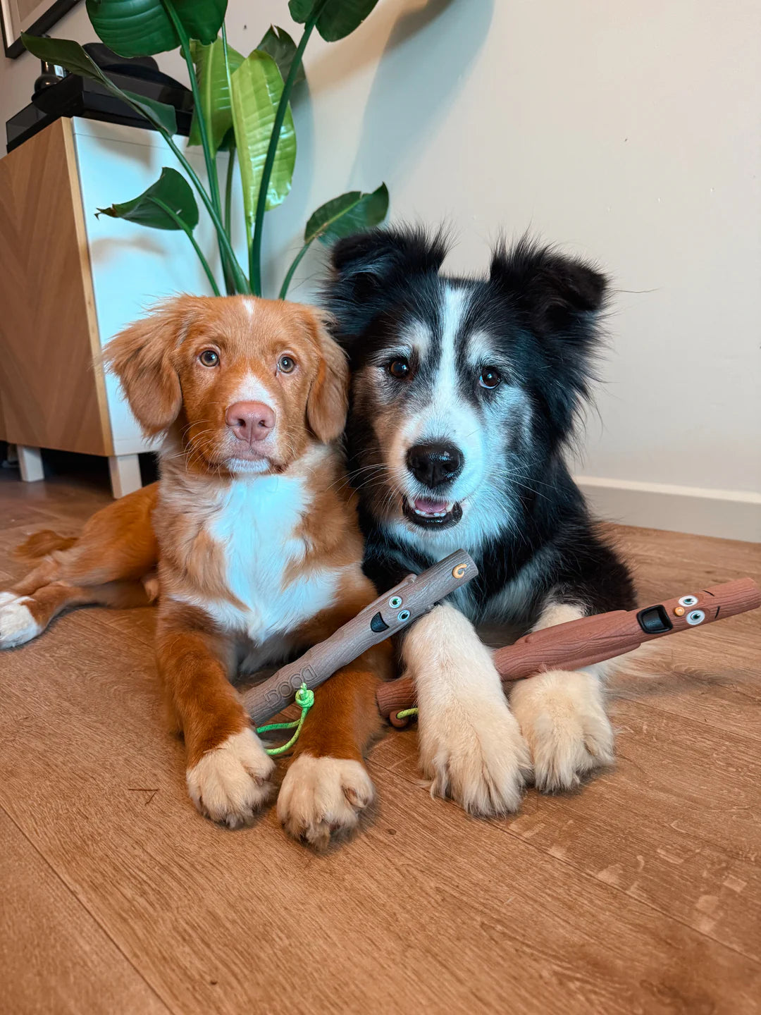 DOOG Stick Family | Barkley