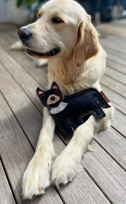 Outback Animal Toy | Tassie Devil