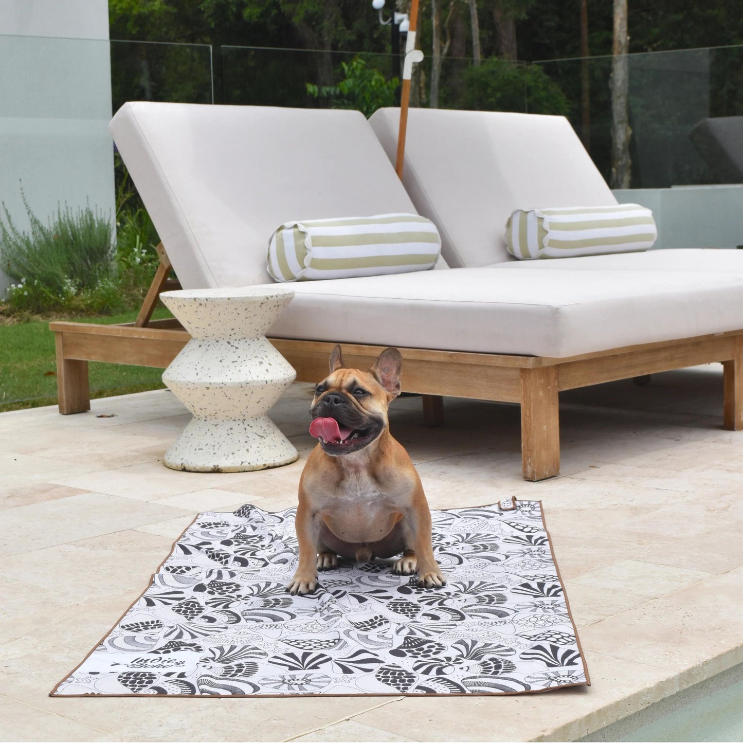 Pet Travel & Bath Towel | Daydream Shells