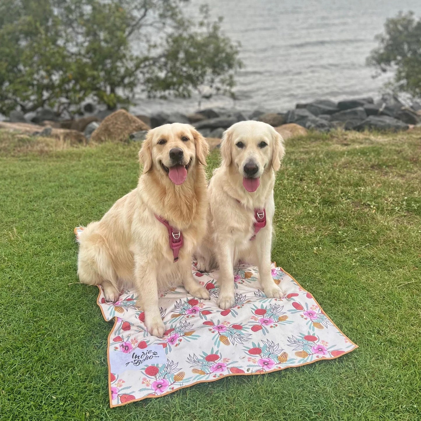 Pet Travel & Bath Towel | Native Flora