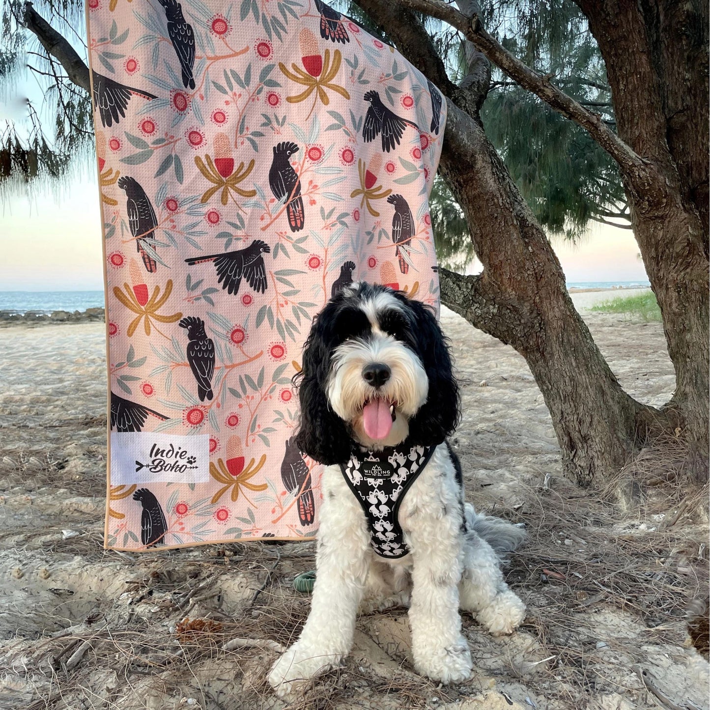 Pet Travel & Bath Towel | Sunset Cockatoo