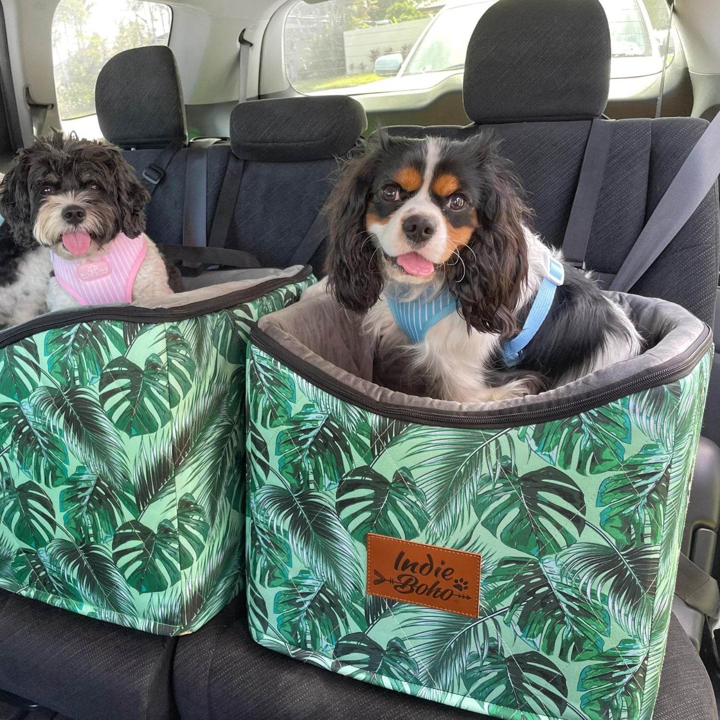 Car Pet Booster Single Seat | Tropical Leaves