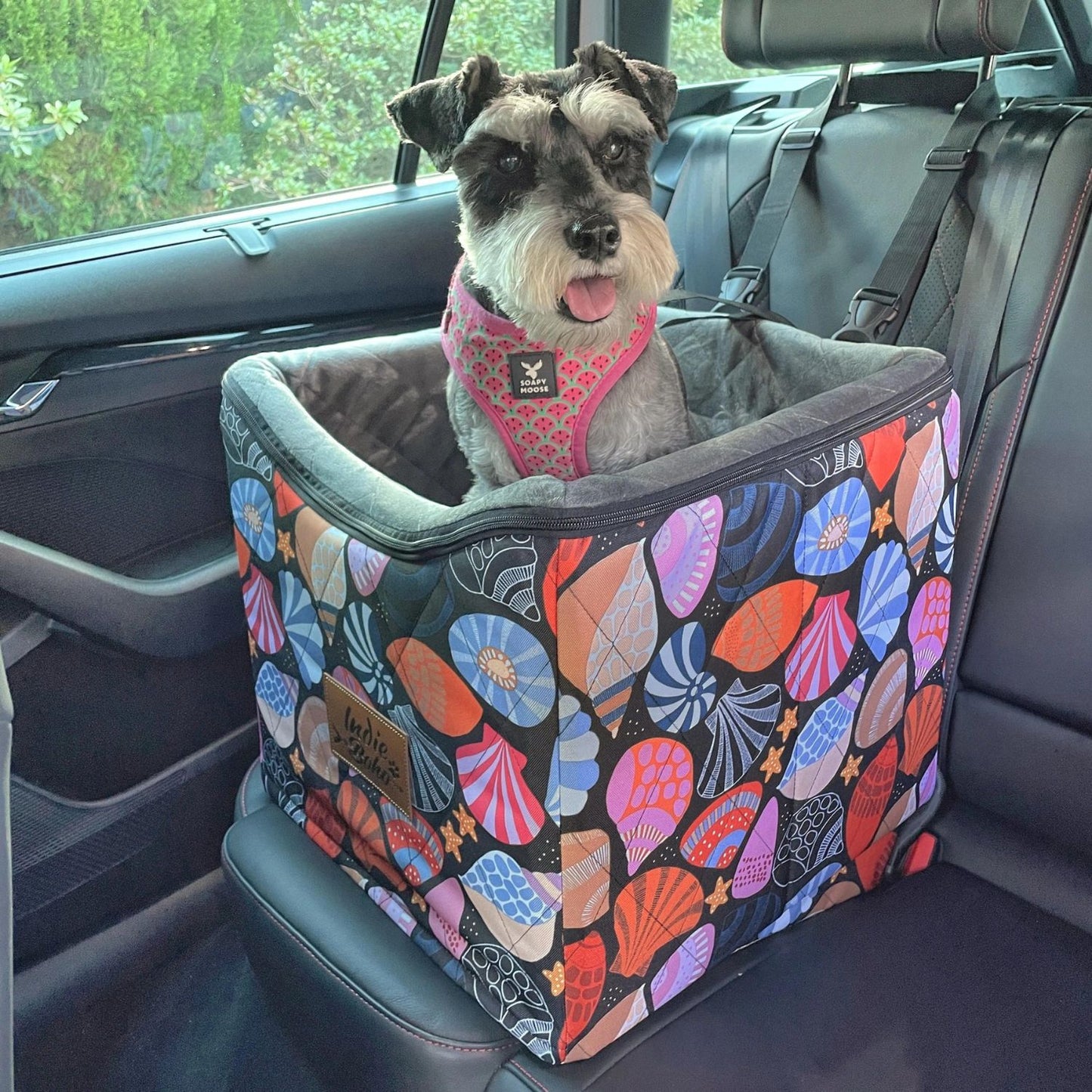 Car Pet Booster Single Seat | Daydream Shells