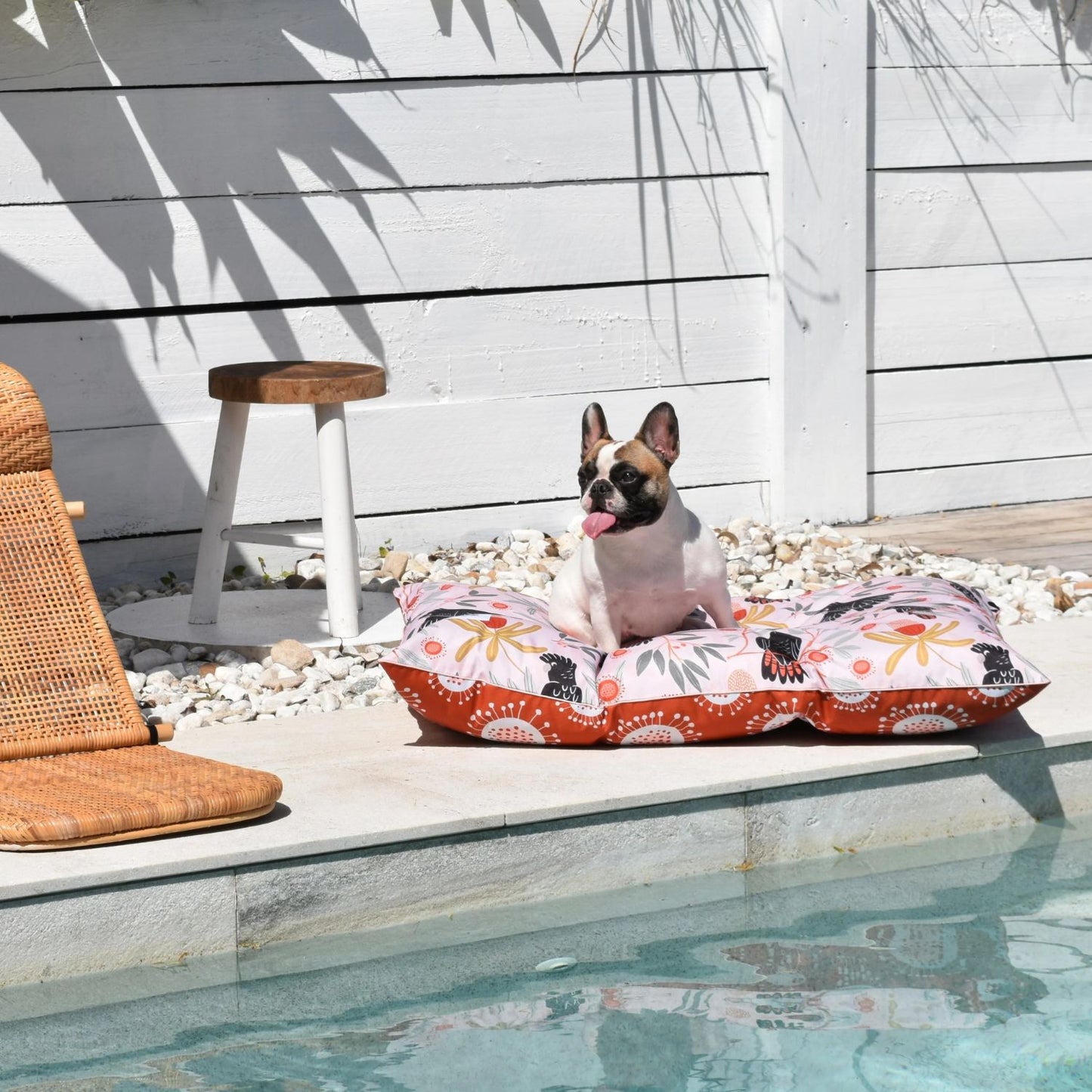 Outdoor Dog Bed | Sunset Cockatoo