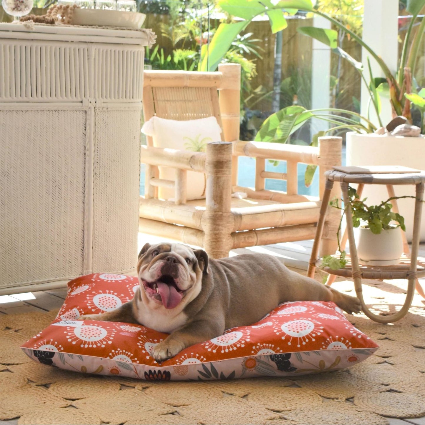 Outdoor Dog Bed | Sunset Cockatoo