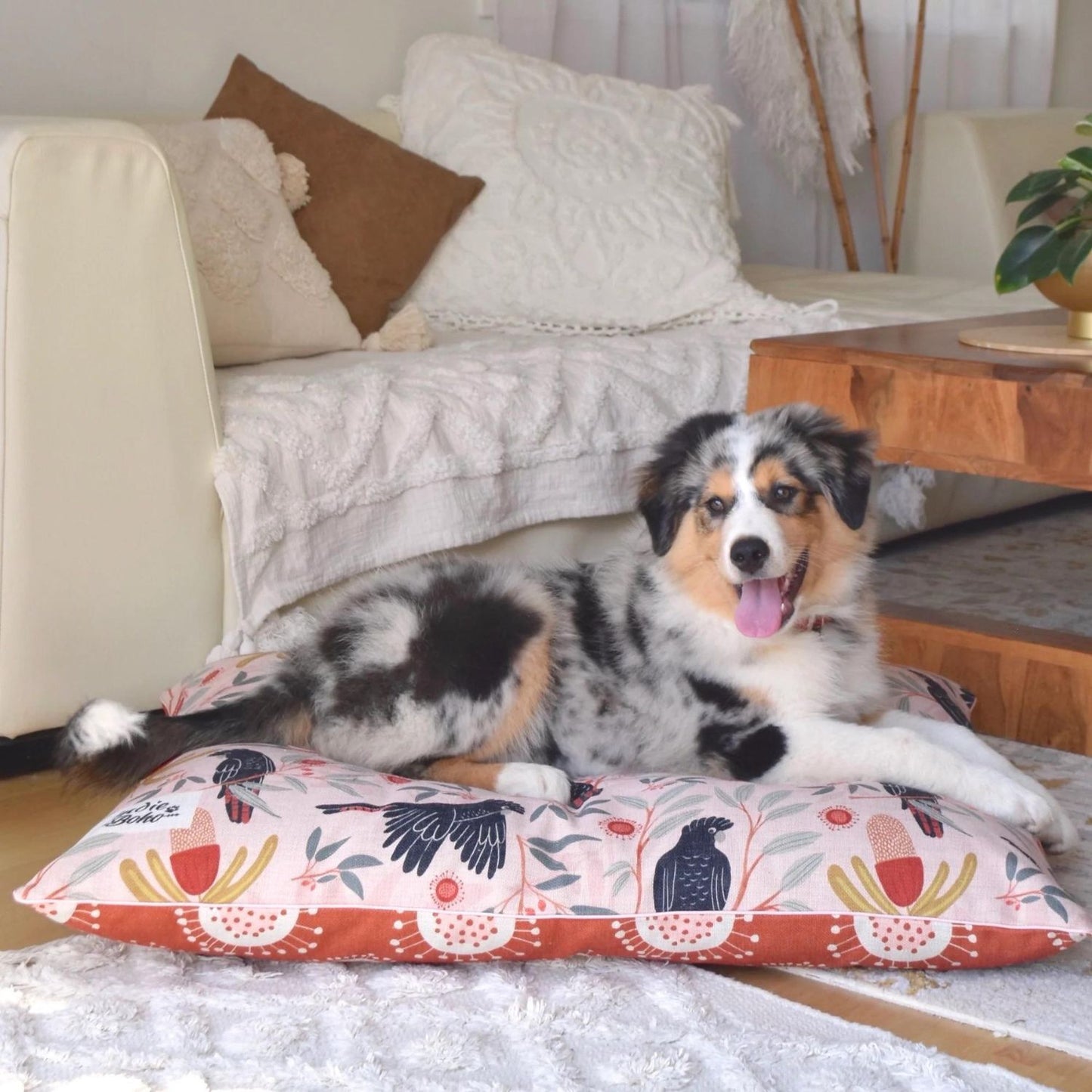 Indoor Dog Bed | Sunset Cockatoo