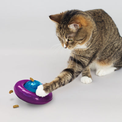 Catnip Infused Cat Gyro Toy