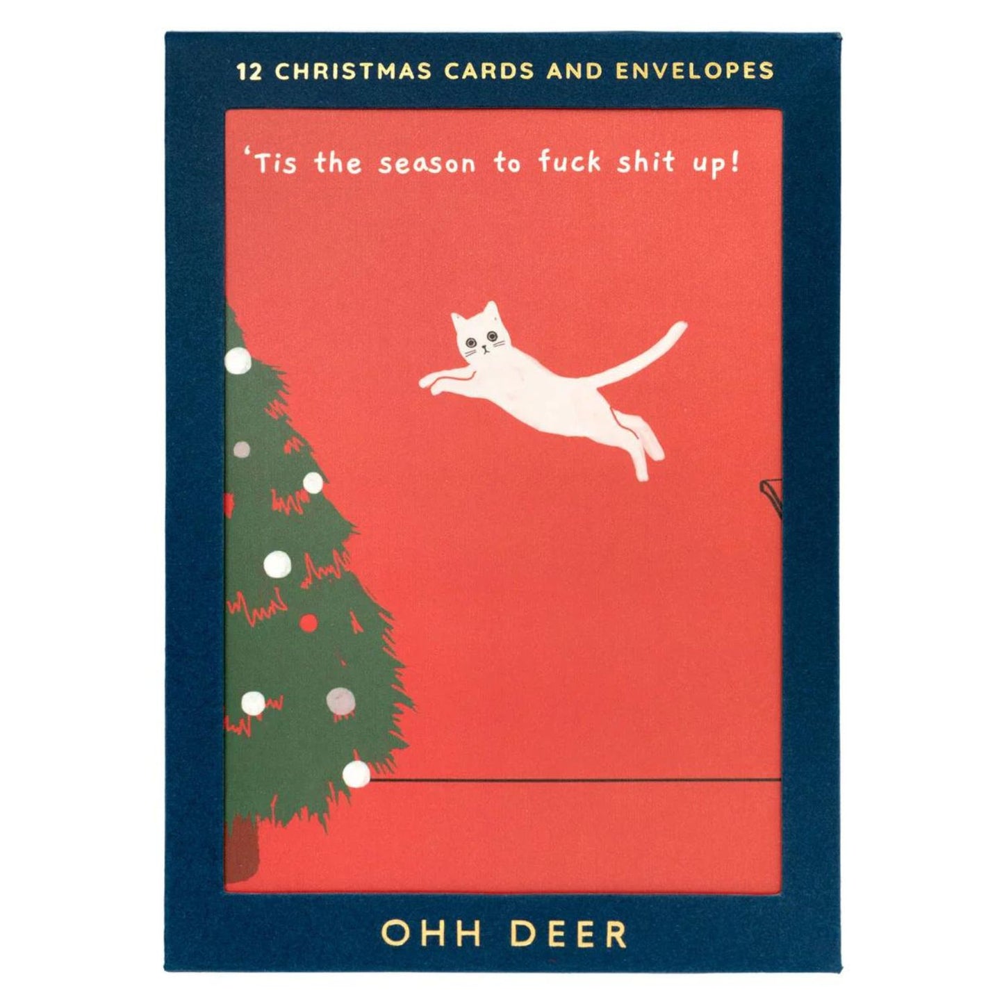 Ken The Cat Christmas Card Set | 12 Pack