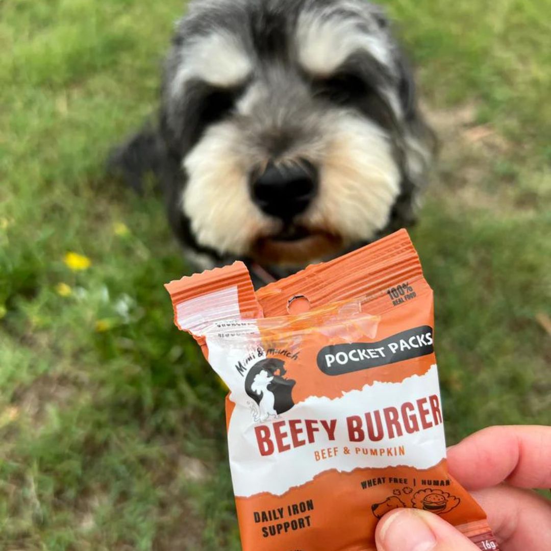 Beefy Burger Dog Biscuits | Pocket Pack