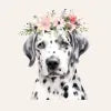 Soul Dog Family | Nervous Fear Flower Essence Blend Drops