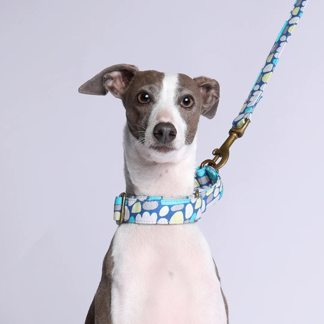 Martingale Collar - PULI PULI | BLUE